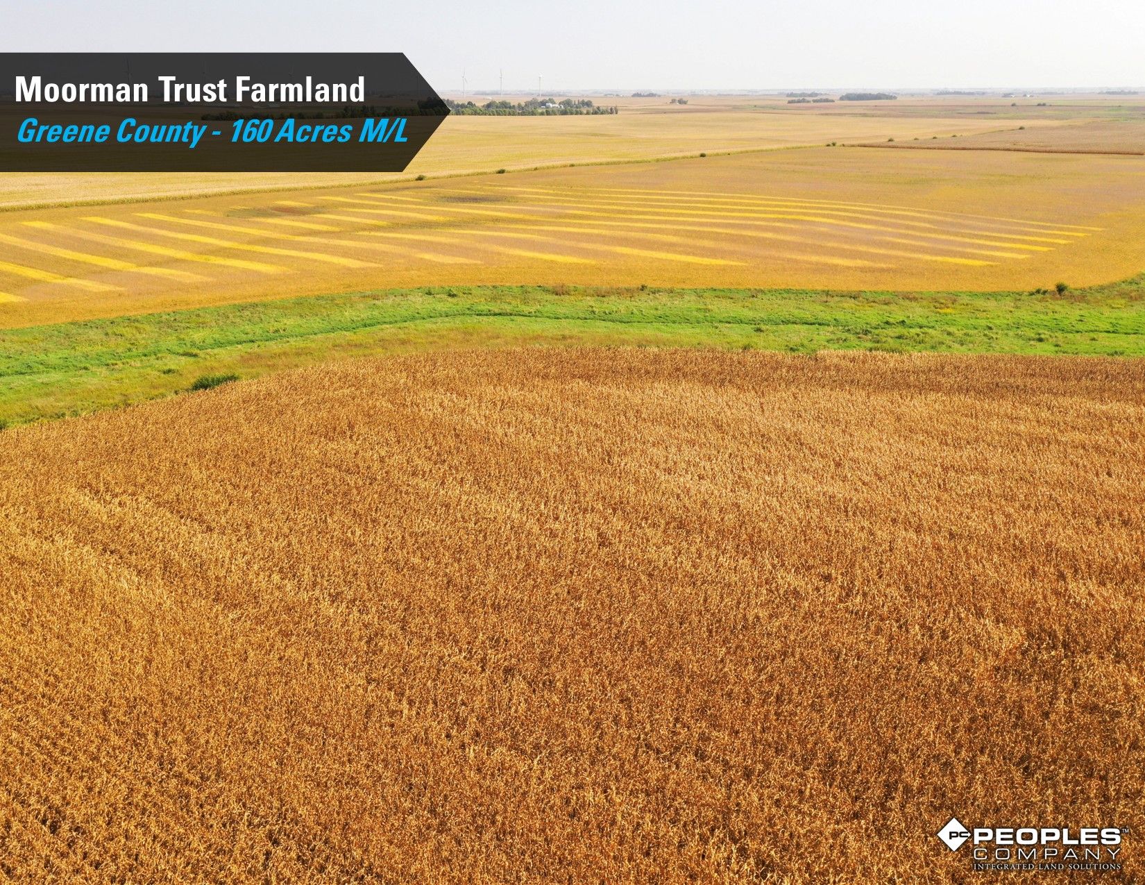 Listing Photo: Greene-County-Iowa-Farmland-Auction-160-Acres-Moorman-Rippey-IA-18618 (13)
